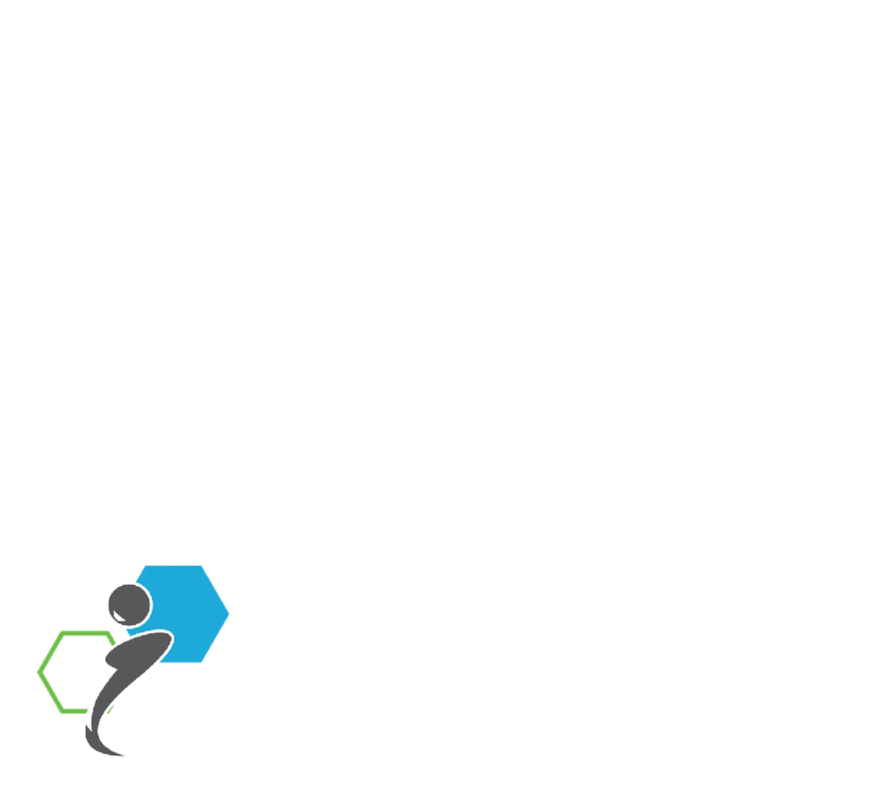 LittleBee Infotech